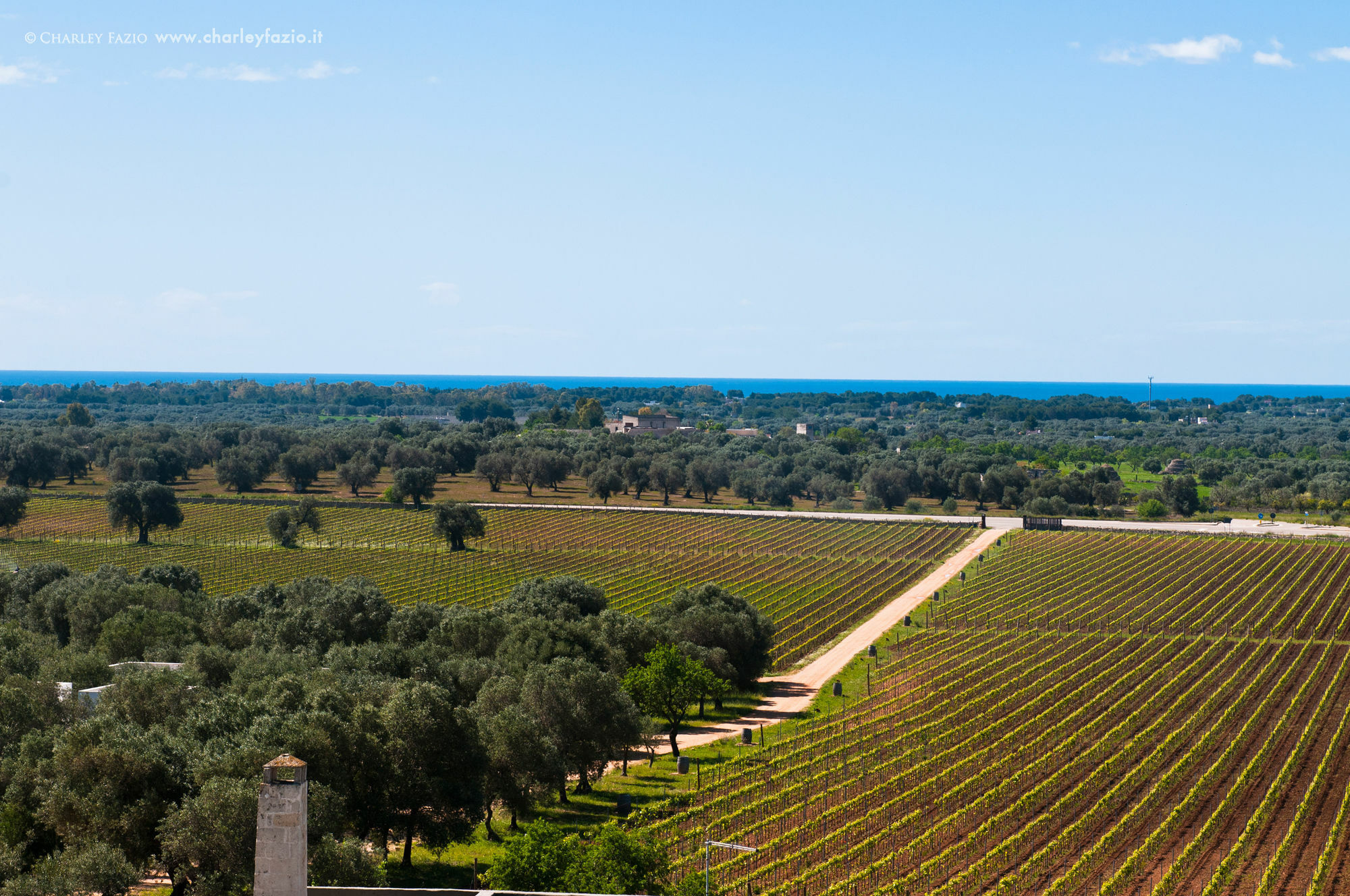 Masseria Le Fabriche มารุจจิโอ ภายนอก รูปภาพ