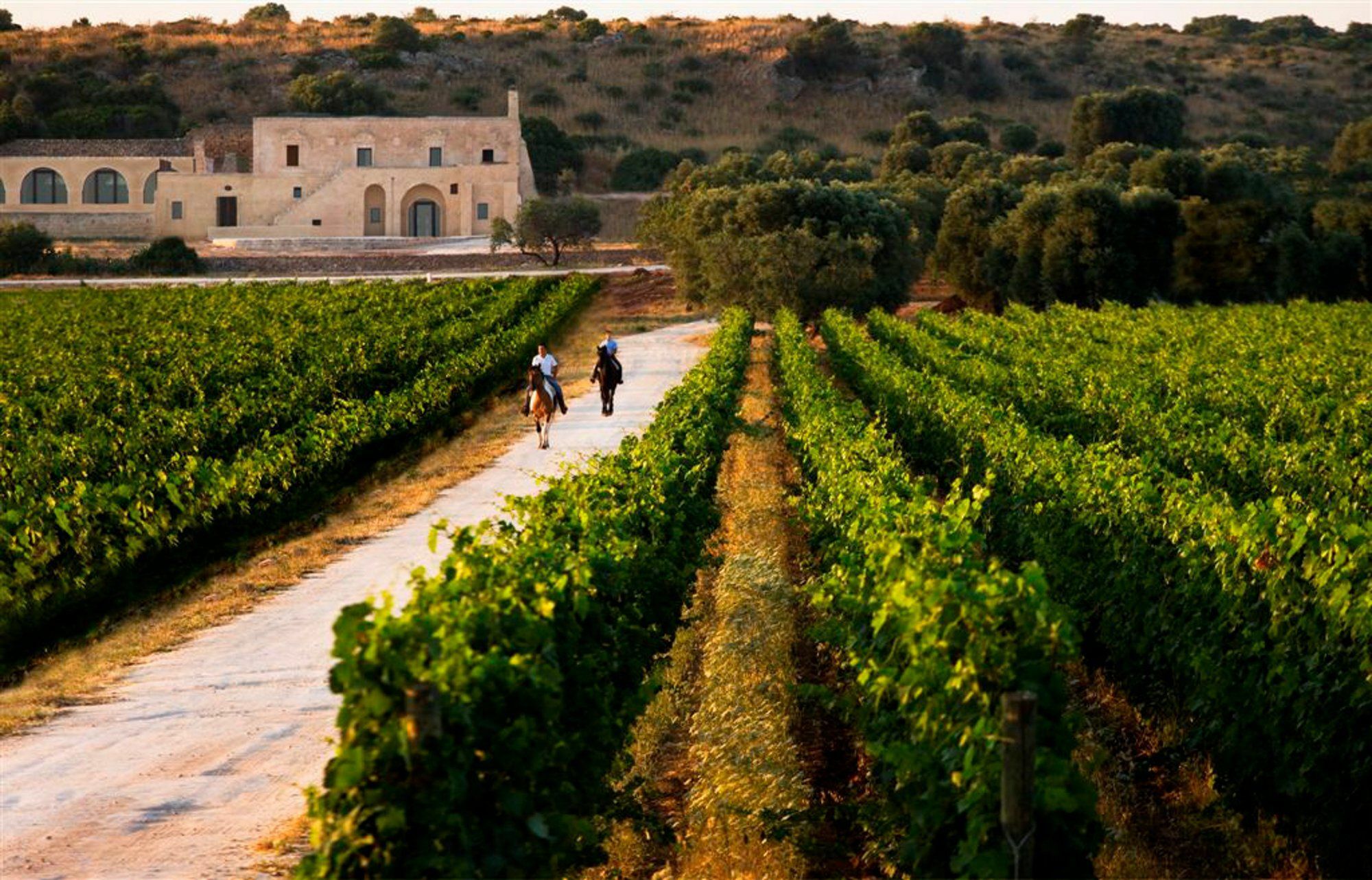 Masseria Le Fabriche มารุจจิโอ ภายนอก รูปภาพ