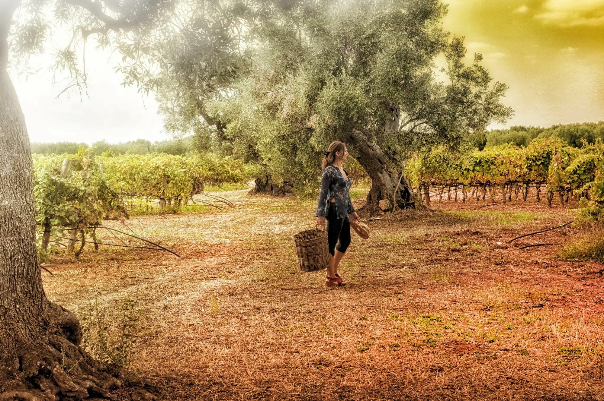 Masseria Le Fabriche มารุจจิโอ ภายนอก รูปภาพ